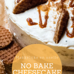 Cover Ebook Makkelijke en Snelle No Bake Cheesecake Recepten